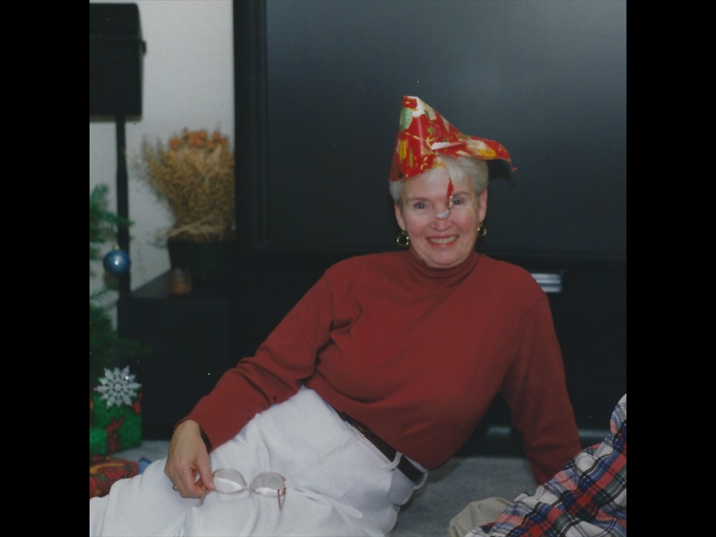 N85 Christmas 95